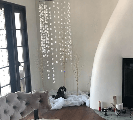 Her House And Pet